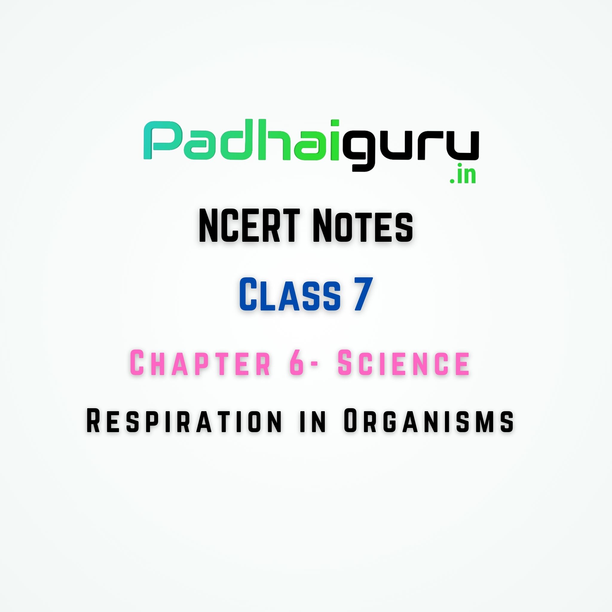 class 7th science chapter 6 respiration in organisms notes