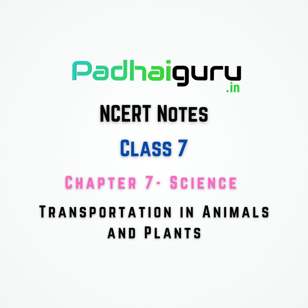 07. Transportation in Animals and Plants Class 7 Science NCERT Notes ...